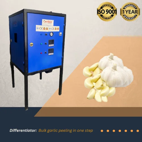 Garlic Peeling Plant