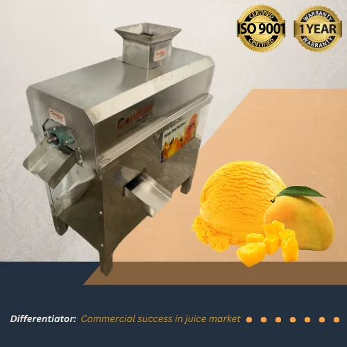 1 HP Mango Juice Machine